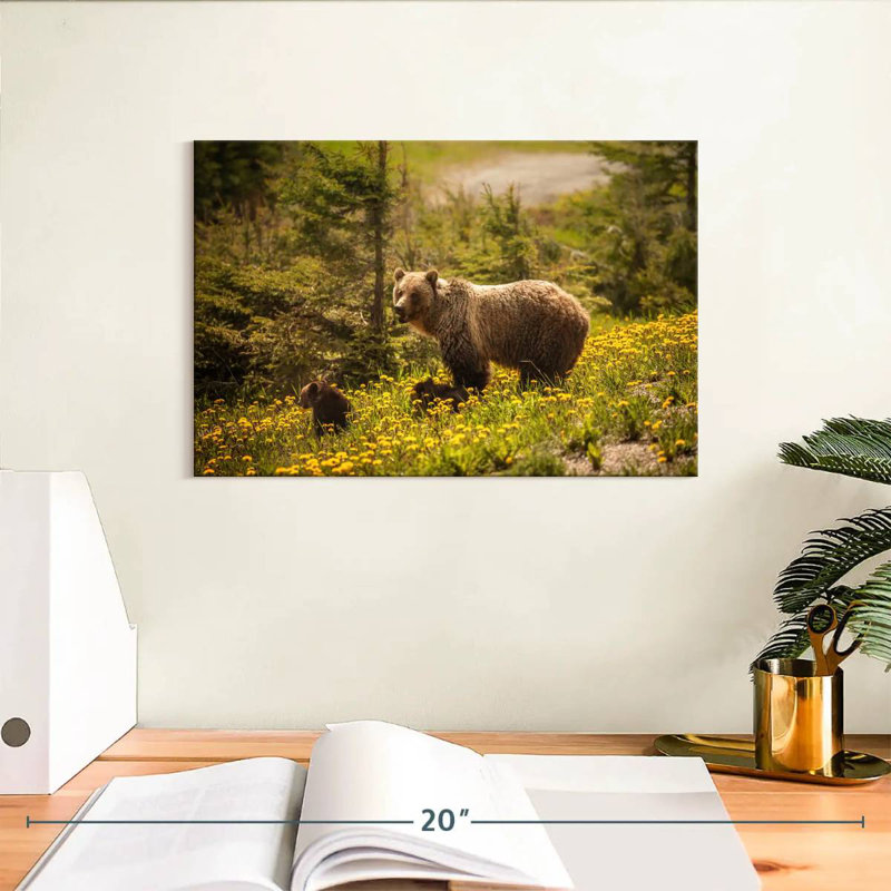 Brampt Canadian Grizzly Bears, 8" H x 12" W