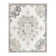 Oriental Indoor Rug