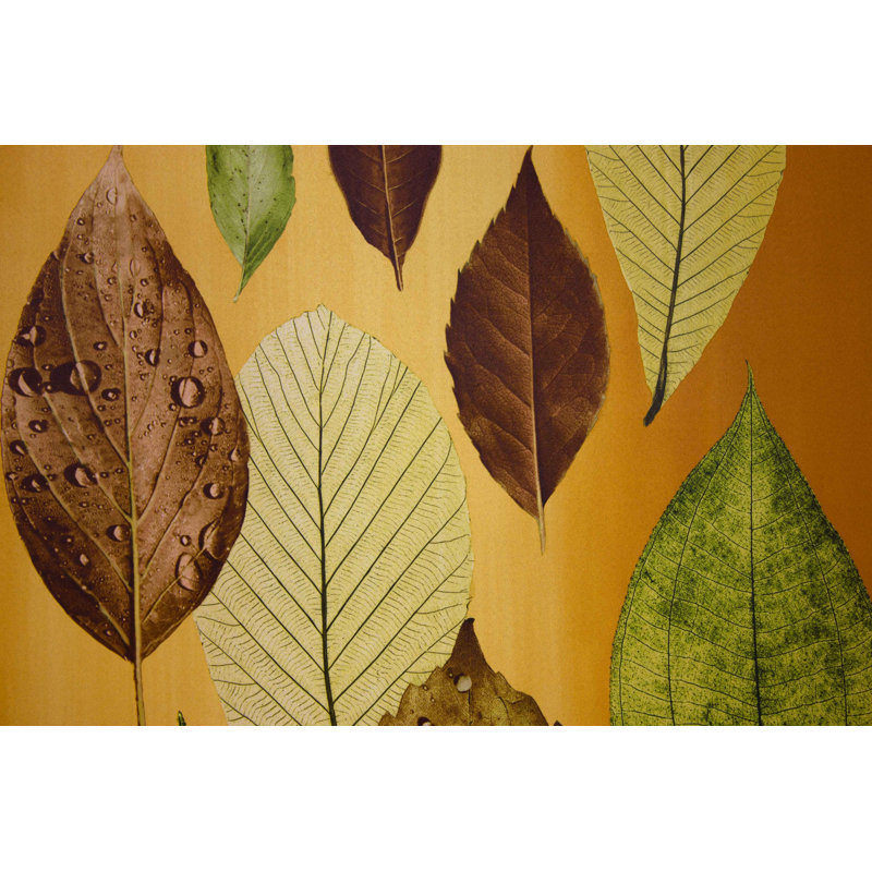 Rajesh Blackout Single Curtain Panel, 255cm H x 145cm W, Terra