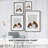 Fox Lovers Framed Print - Solid Wood