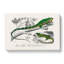 Green Iguana And Lizard by Charles D' Orbigny - Wrapped Canvas Painting-55360264