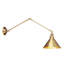 Evie Swing Arm Sconce-18980013