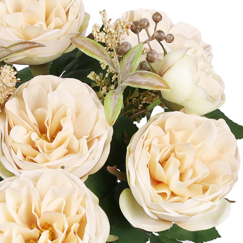 Chou rose, Ivoire