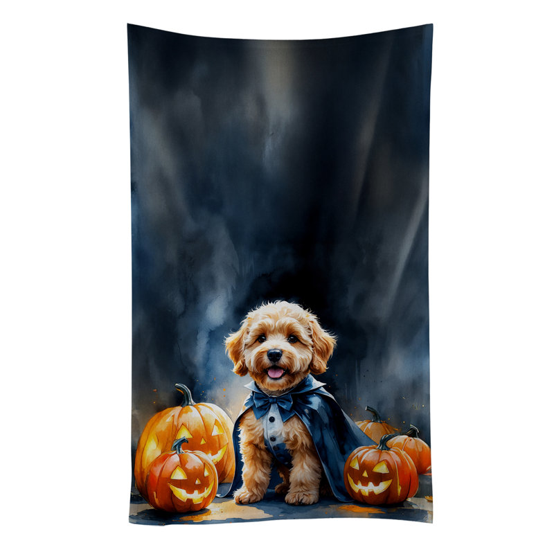 Torchon Goldendoodle, Goldendoodle