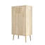 Baneen 8 Pair Shoe Storage Cabinet