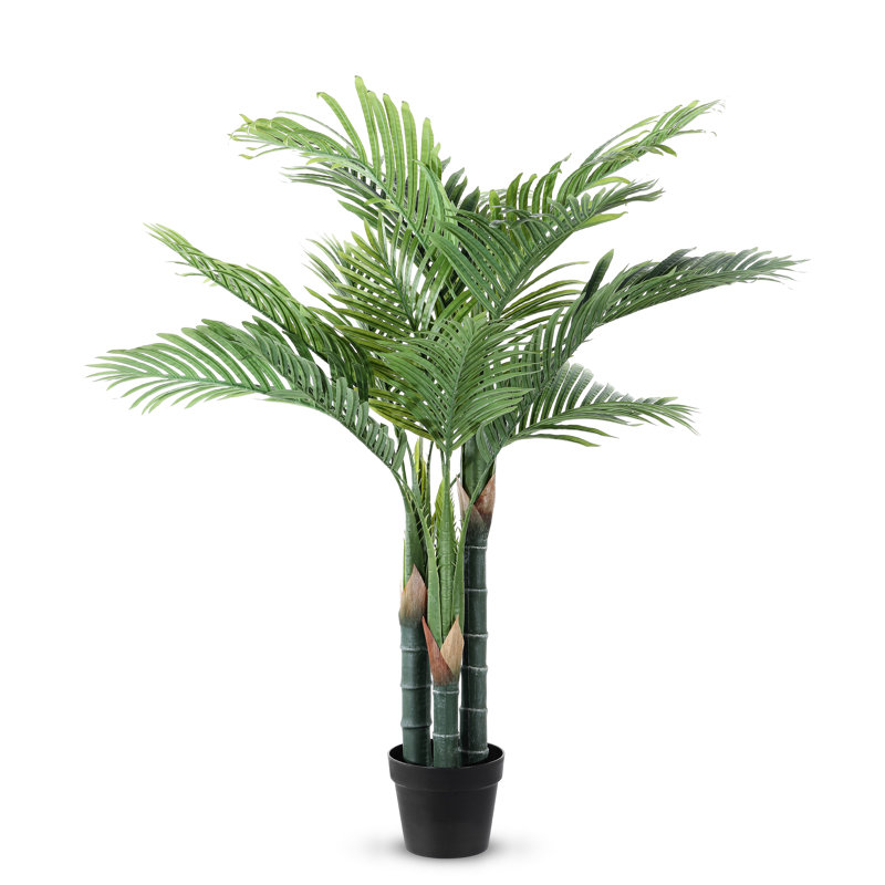 49'' Plant