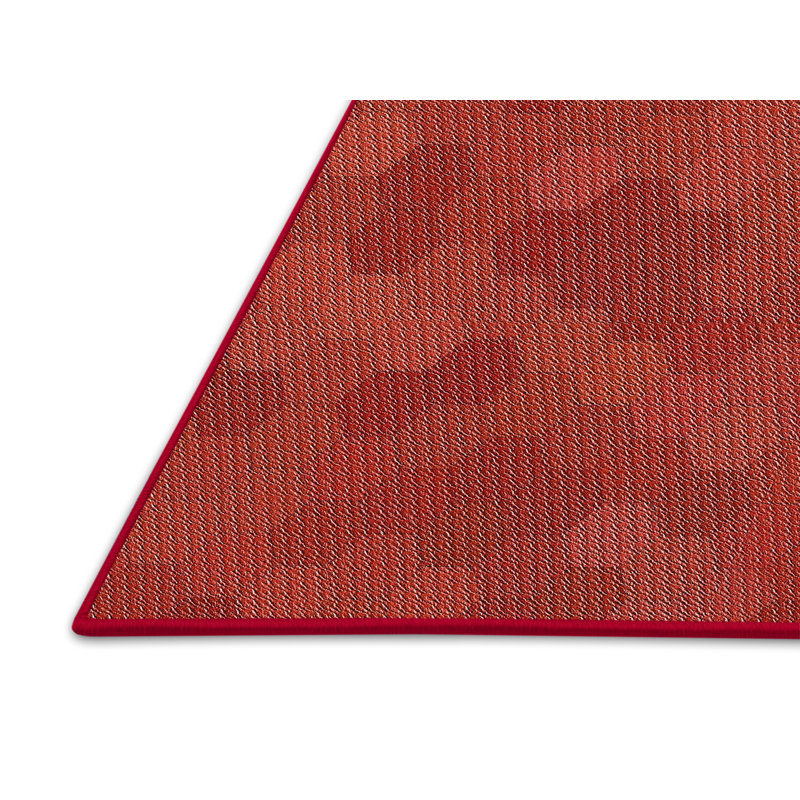 Ruggles Geometric Indoor Rug, Rectangle 5' x 7'