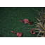 Tapis vert sur mesure-180644500