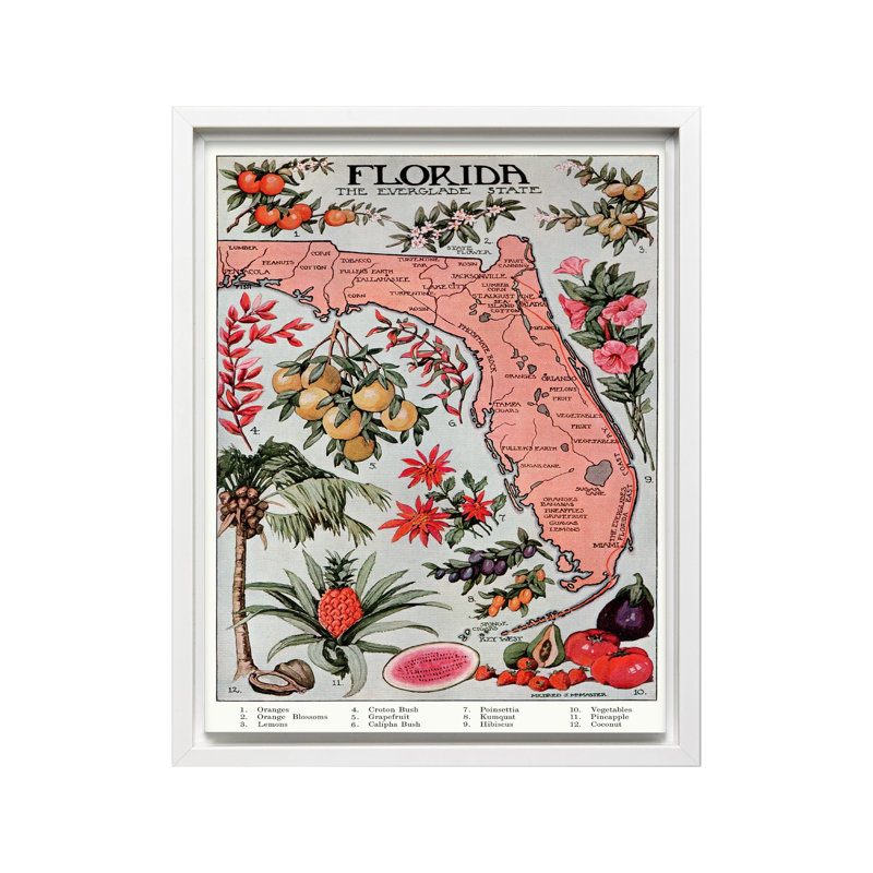 Floride - État de Everglade, Canevas, H 24 po x l 32 po, Encadrement blanc