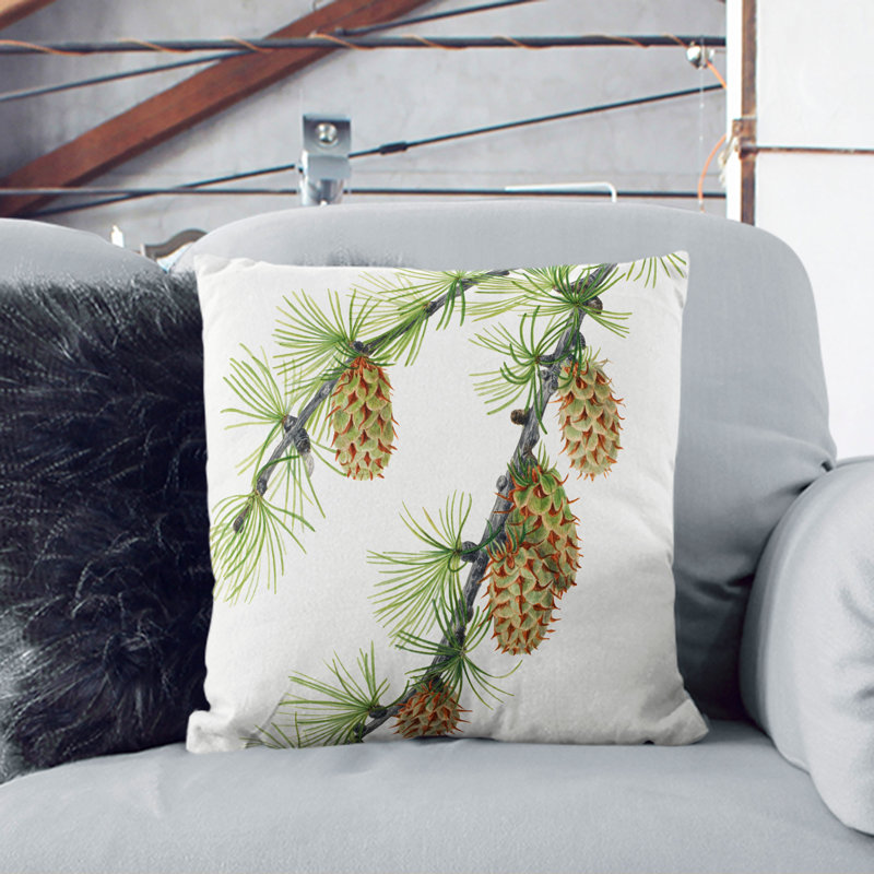 Western Larch Scatter Cushion, 40cm H x 40cm W x 15cm D