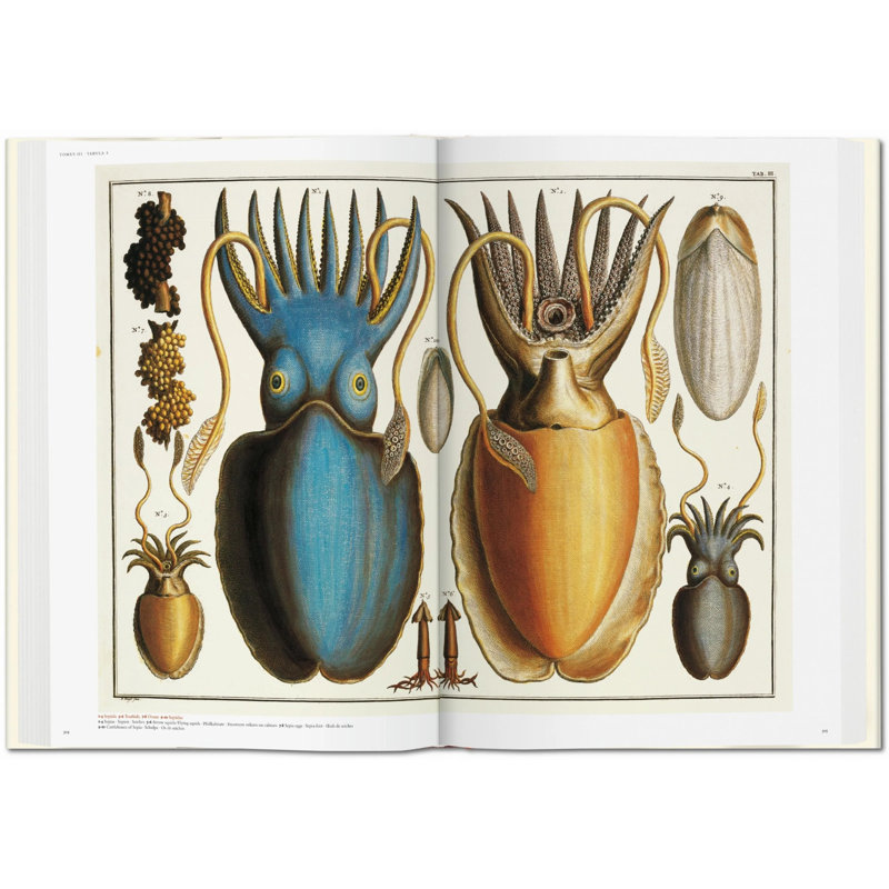 Seba Cabinet Of Natural Curiosities