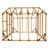 10' W X 10' D Greenhouse Kit
