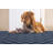 Moroccan Indoor / Outdoor Rug-1461798762