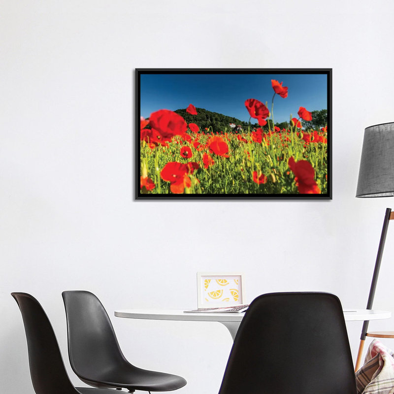 « pologne, dépiléy field » par mikolaj gospodarek-impression photo, H 26 po x l 40 po x P 1,5 po, Toile avec cadre noir