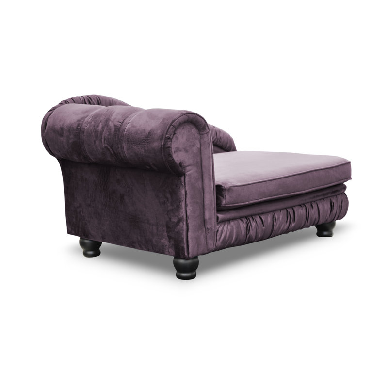 Alana Polyester Pet Bed, Purple