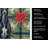 Black Whippet Christmas PoinsettIas Kitchen Towel-2080583778