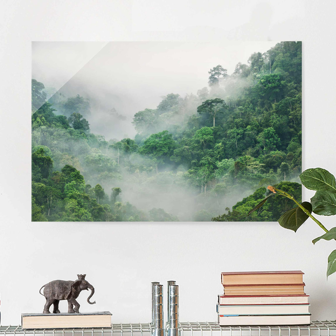 Glasbild Jungle in Fog Landscape