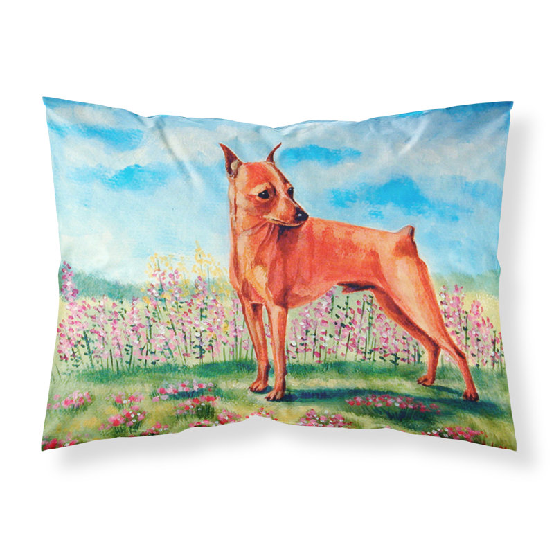 Microfiber