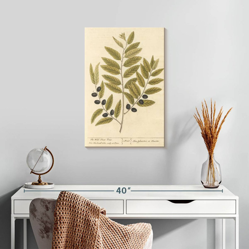Keiri Olive Branch I, 24" H x 16" W