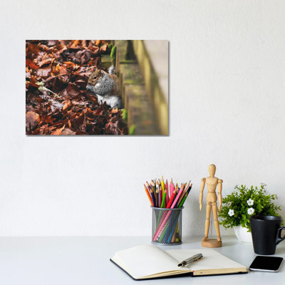 Hidden Squirrel 1 Piece Wrapped Canvas Painting
