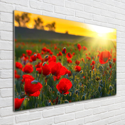Field Of Poppies - No Frame Print on Glass