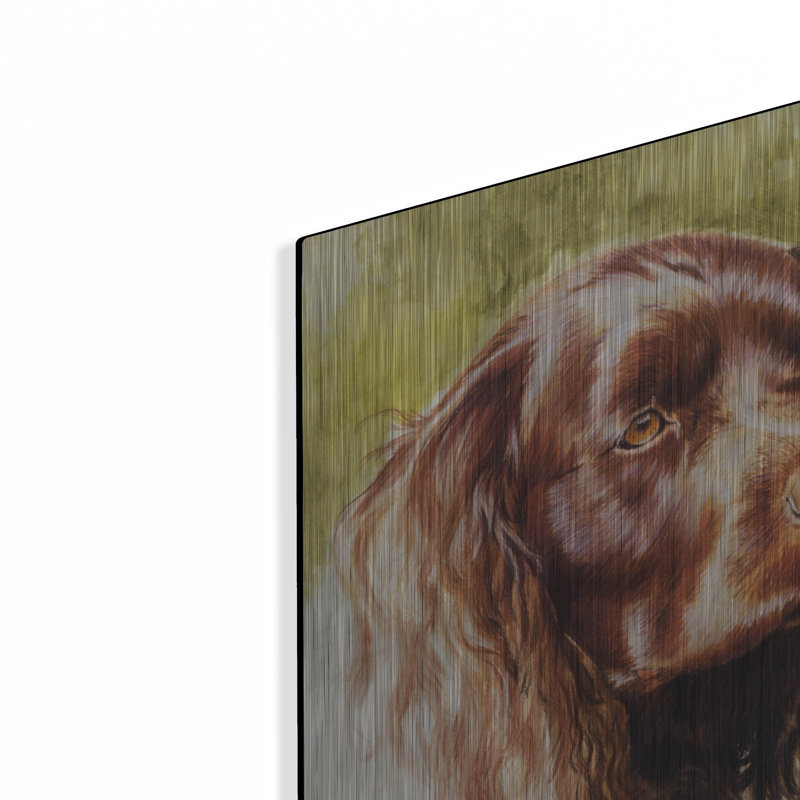 «Am Water Spaniel» par Barbara Keith, H 24 po x l 16 po