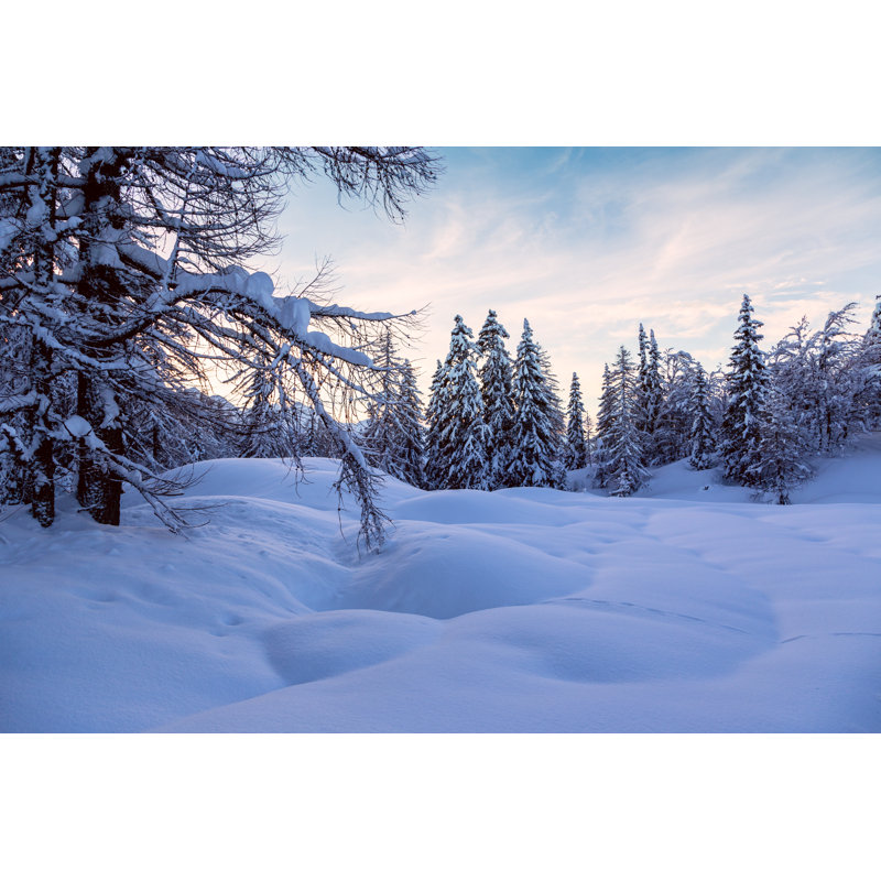 Winter Landscape by Remedios - Wrapped Canvas Print, 30cm H x 46cm W