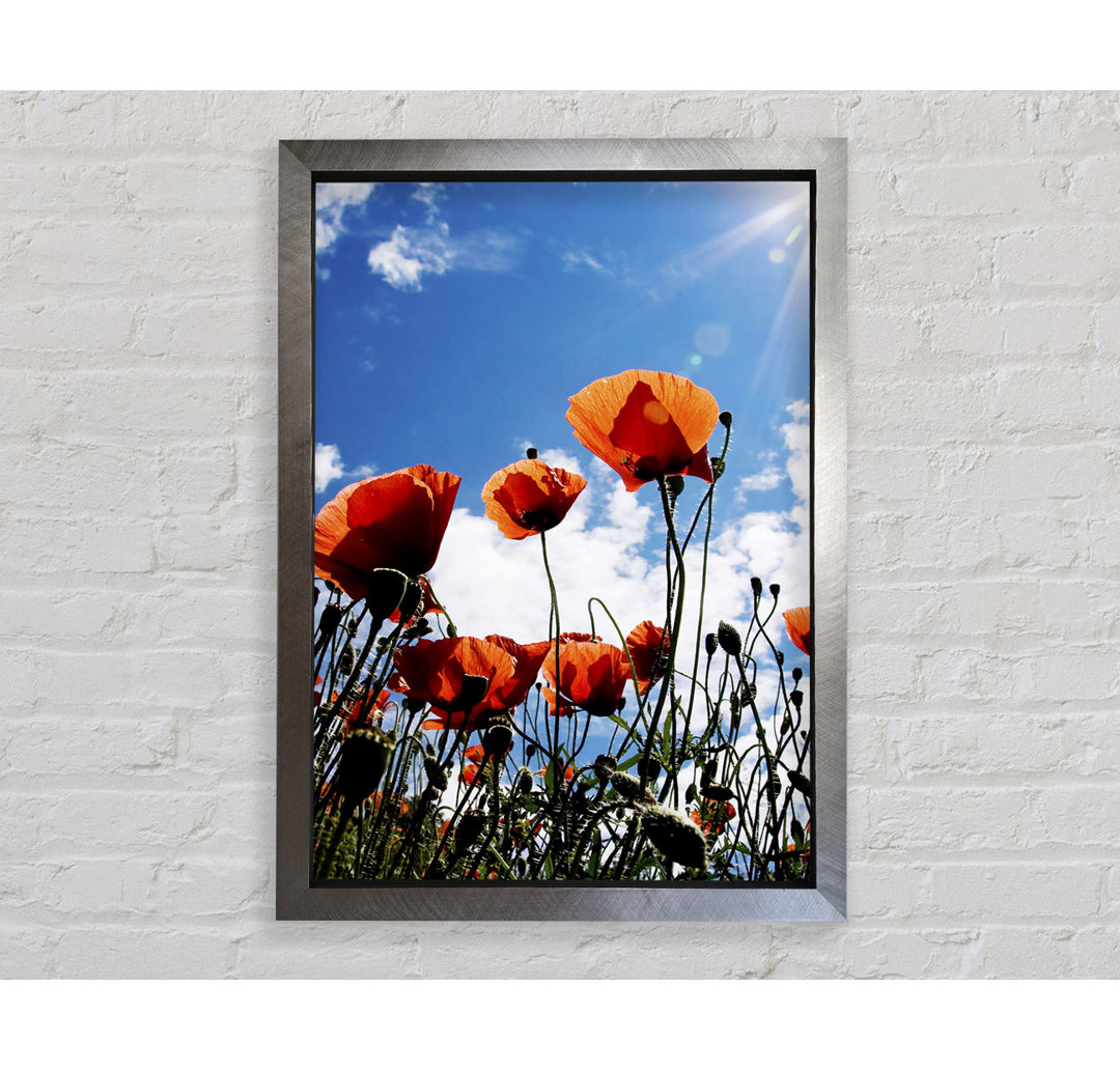 Gerahmtes Wandbild Orange Poppy Skies