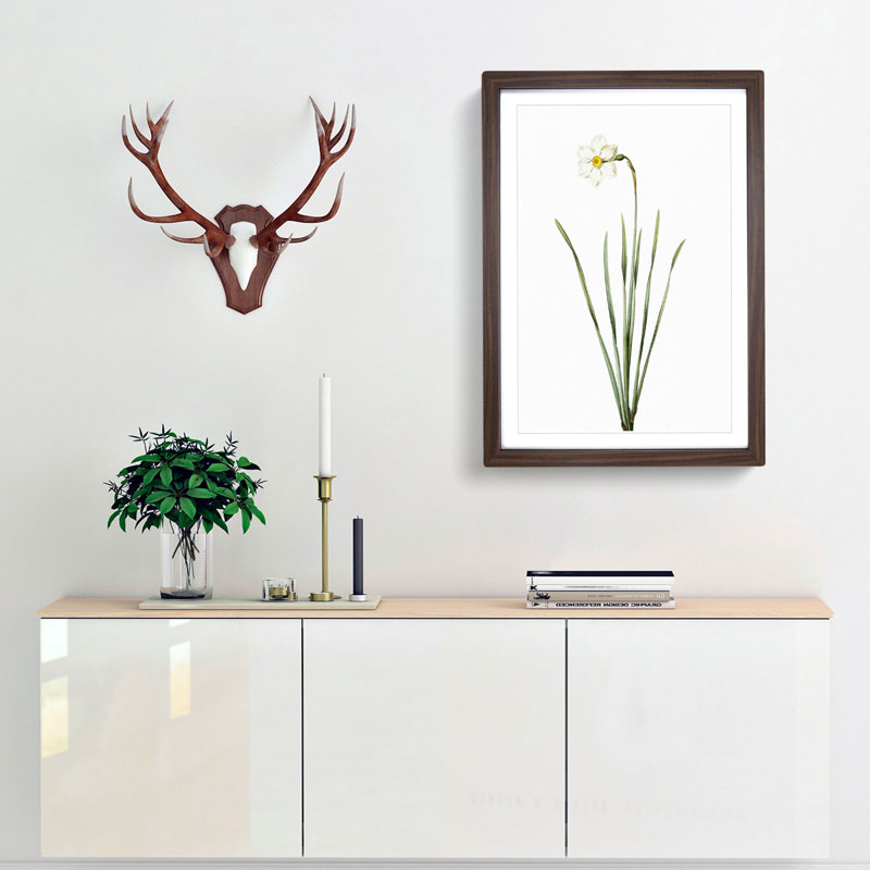 Poeticus Daffodil by Pierre-Joseph Redoute - Framed Print, 48cm H x 36cm W x 2cm D, Walnut Framed