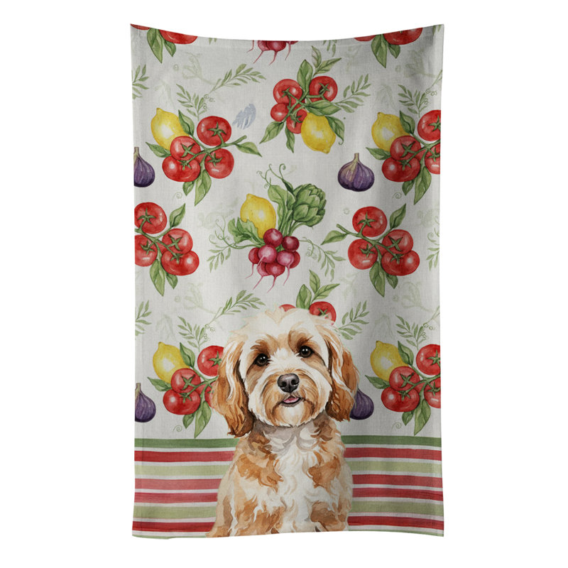 Torchon Cavapoo, Cavapoo