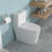 Ceramic One Piece Toilet, 12-Inch Rough-In, Dual Flush With Soft Closing Seat