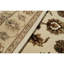 Dharma Oriental Area Rug