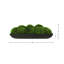 Moss Preserved in Oblong Planter-2127730664