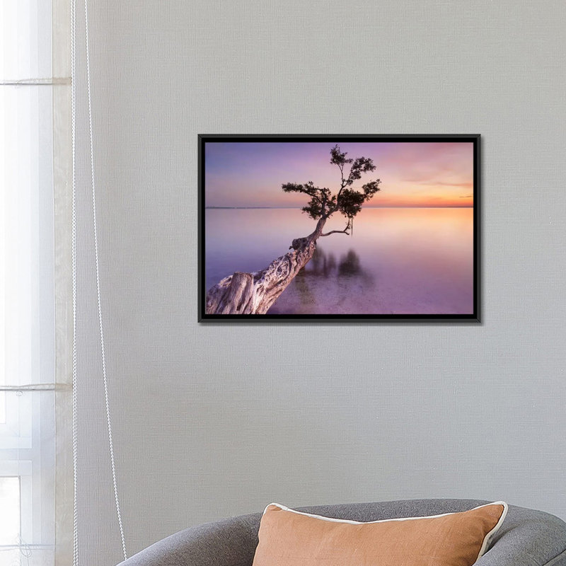« water tree xi », reproduction de photo sur toile tendue, H 18 po x l 26 po x P 1,5 po, Toile avec cadre noir, Pas de tapis