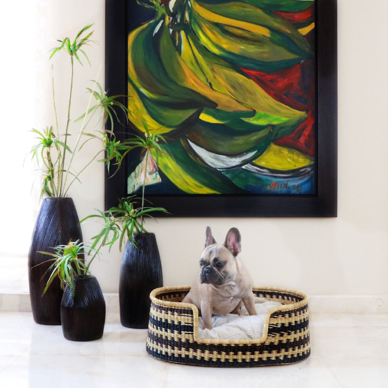 Design Dua Bear Dog Bed