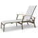 Askar Outdoor Rust-Resistant Metal Chaise Lounge