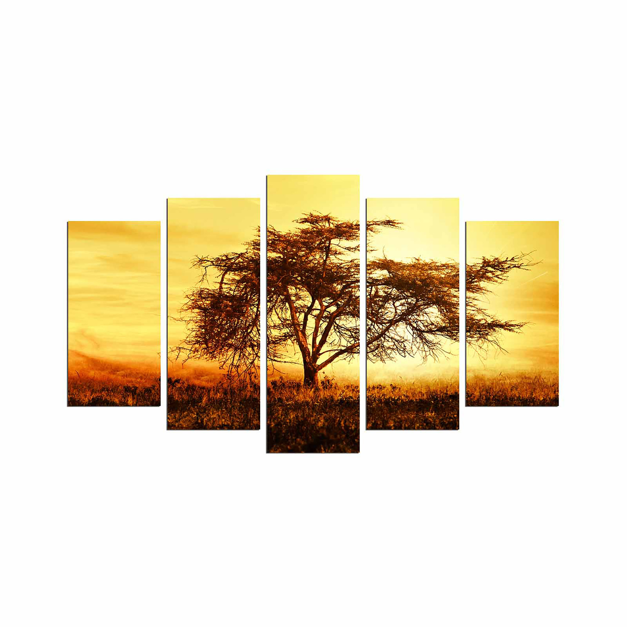 East Urban Home 5 Piece Unframed Photograph on MDF | Wayfair