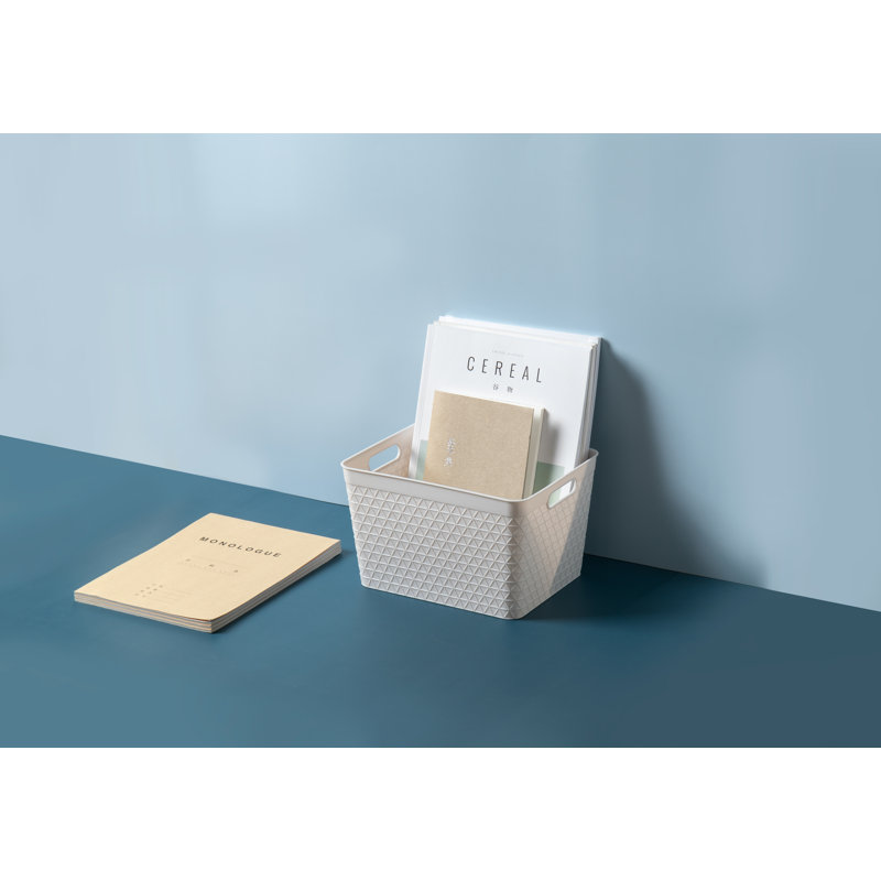 Rebrilliant Plastic Decorative Bin