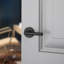 Reserve Contemporary Tube Hall/ Closet Lever-134167092