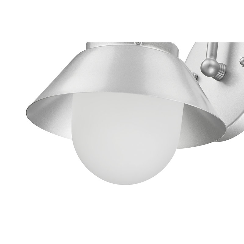 Luminaire de grange d'extérieur à 1 ampoule H 9 po Boler, Argent brossé