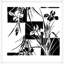 Iris Stencil 2 Print
