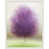 White Framed Paper
