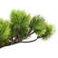 60cm Faux Pine Plant in Pot