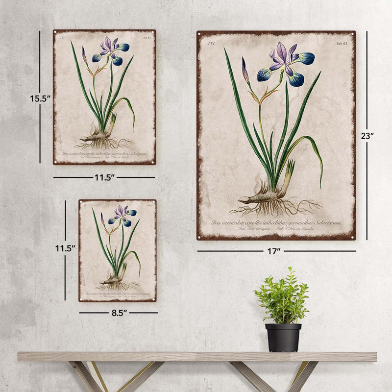 Illustration rétro de l'iris, H 11,5 po x l 8,5 po x P 0,04 po