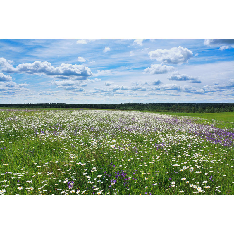 «Summer Landscape» par Yanikap - Photographie sur toile tendue, H 8 po x l 12 po x P 1,25 po
