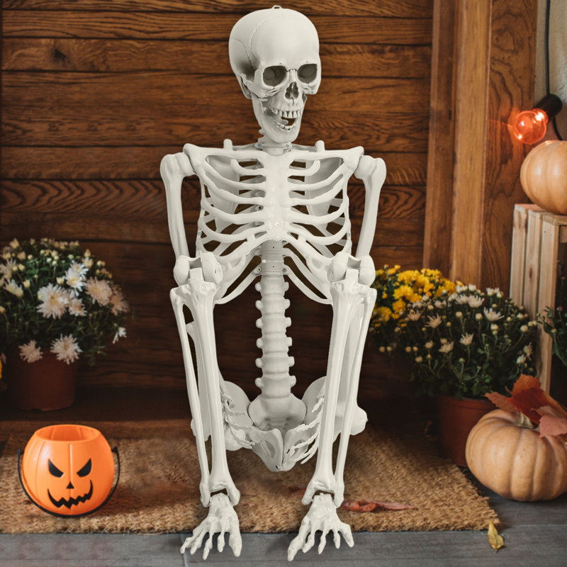 Accessoires de squelette en plastique d'Halloween en forme de squelette de 5,4 pi