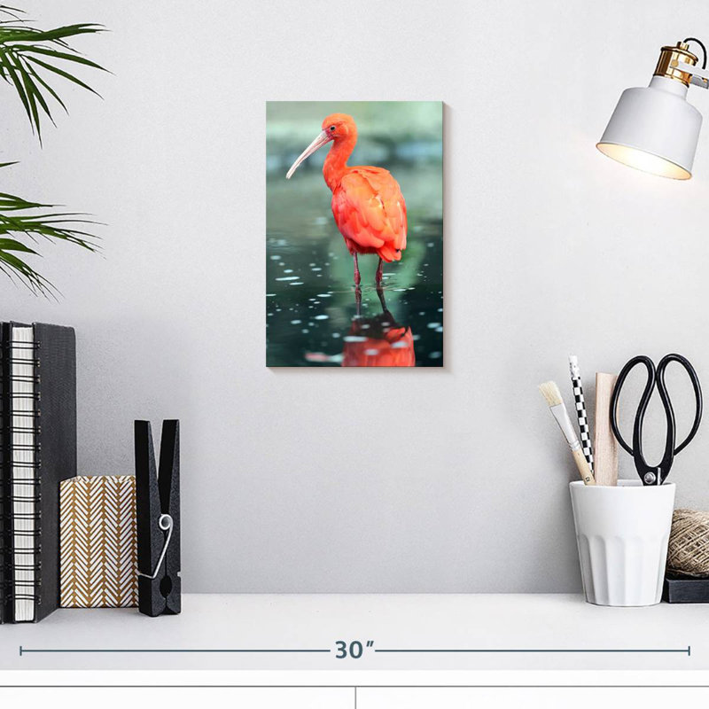 Oiseau écarlate Brampt, H 12 po x l 8 po