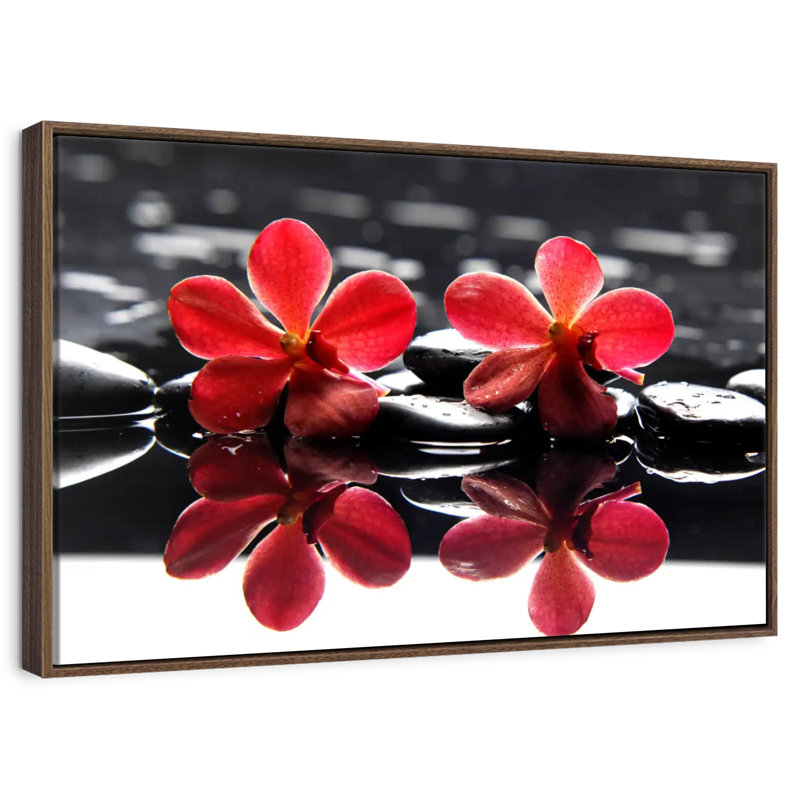 Spa Orchids, Floating Frame Walnut, 31" X 21"