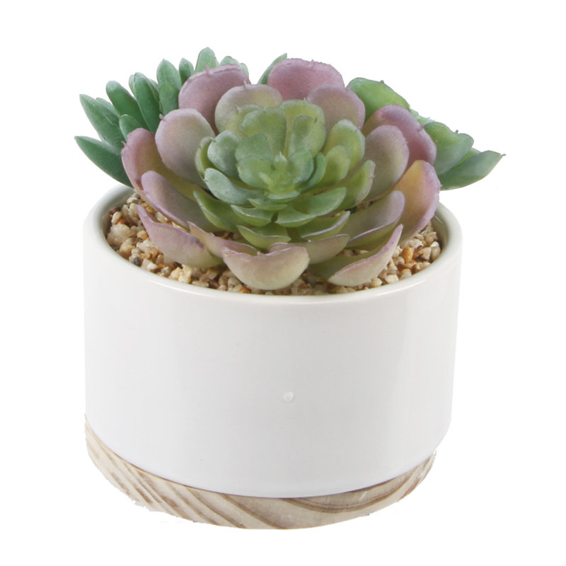 5.5'' Faux Succulent in Ceramic Pot, White