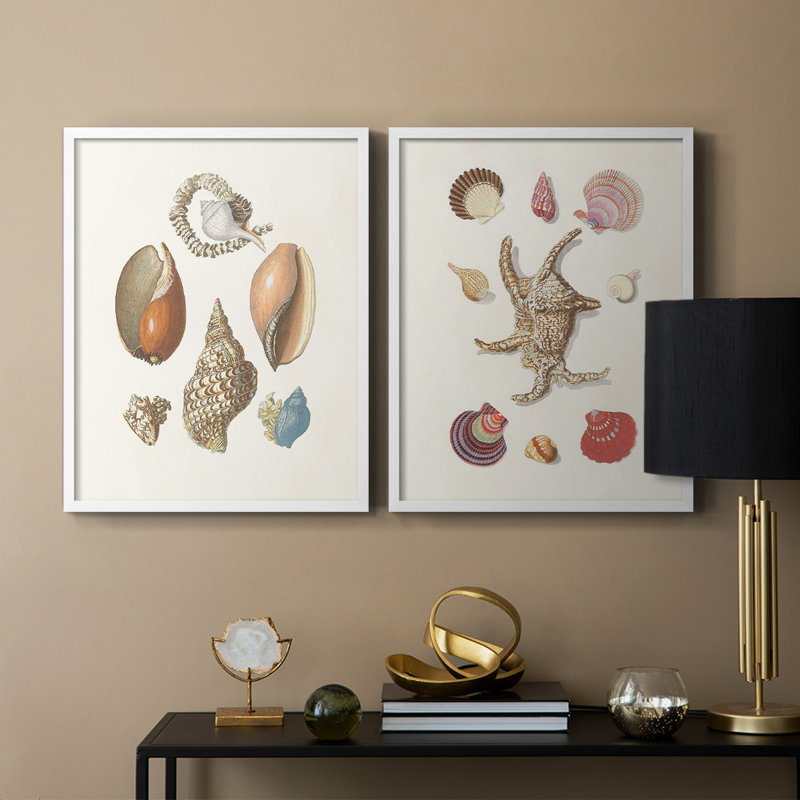 Knorr Shells & Coral I-Premium, reproduction encadrée prête à accrocher - aucun clou requis - aucun clou requis, Blanc